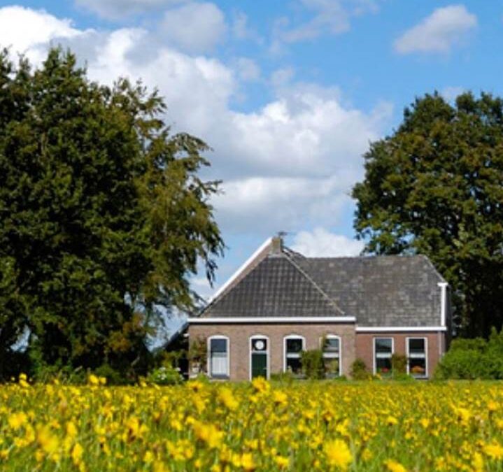 Grond wordt goed betaald, melkveehouderij in trek