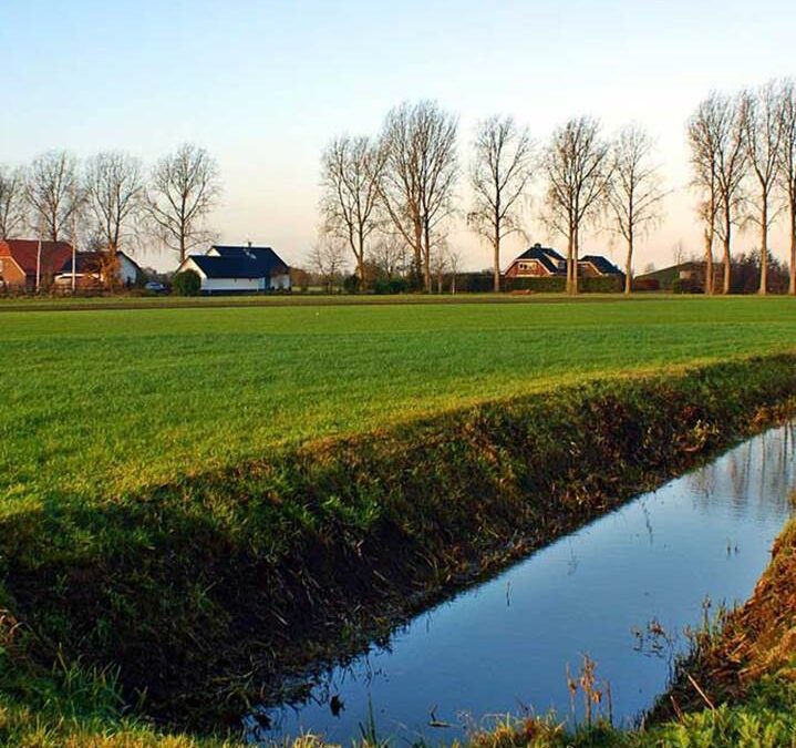 Meer dynamiek door grondhonger en overheidsmaatregelen